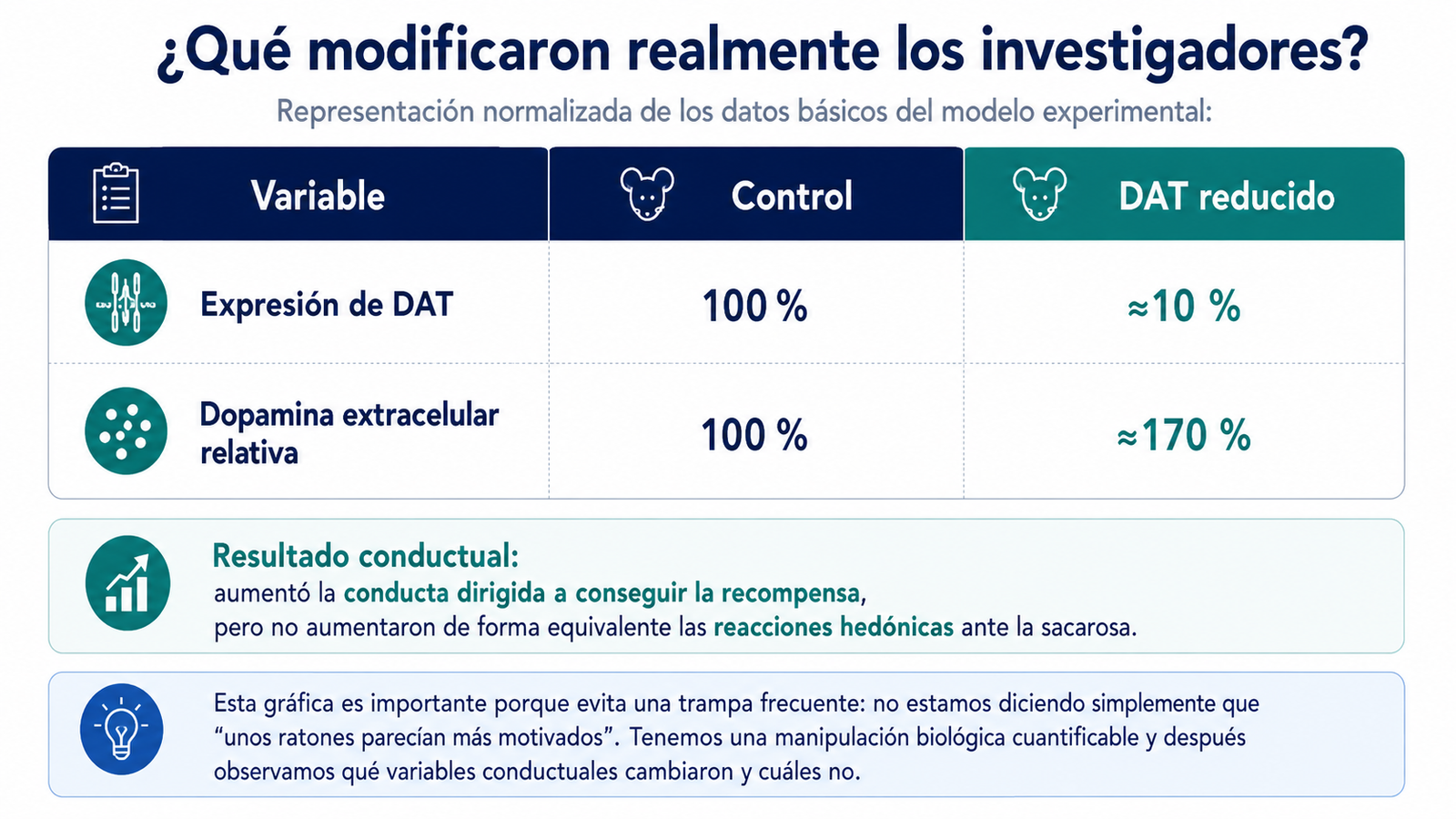 dopamina DAT reducido y aumento de dopamina extracelular relativa