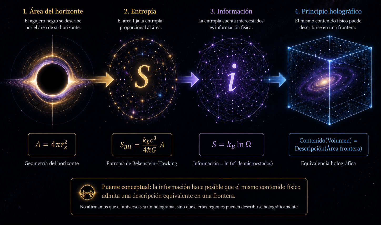 principio holográfico área del horizonte entropía información